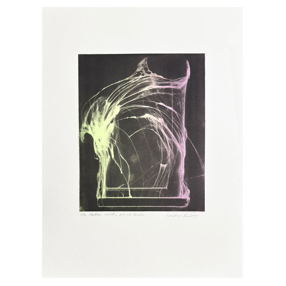 Mellan världar och skillnader